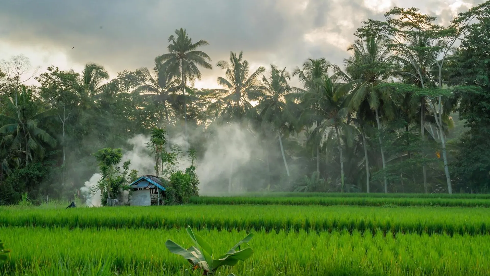 Kampung Uma Dawa Villas And Spa Ubud